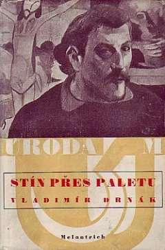 Stín přes paletu