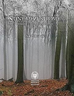 Stíny mezi stromy