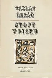 Stopy v písku