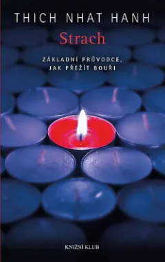 Strach. Základní průvodce, jak přežít bouři