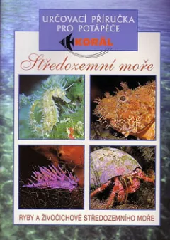 Středozemní moře