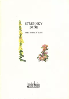 Střepinky duše