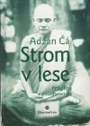 Strom v lese