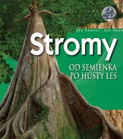Stromy – Od semienka po hustý les