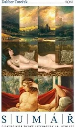 Sumář: Diskurzivita české literatury 19. století