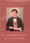 Sv. Dominik Savio - ochránce matek