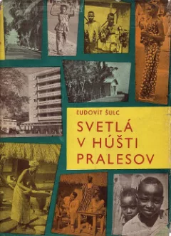 Svetlá v húšti pralesov
