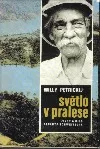 Světlo v pralese