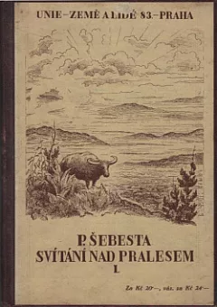 Svítání nad pralesem 1