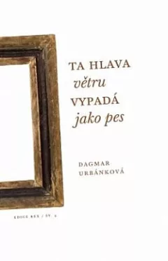 Ta hlava větru vypadá jako pes