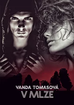 V mlze