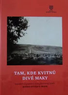 Tam, kde kvitnú divé maky - Vojnový cintorín z prvej svetovej vojny Banská Bystrica-Majer