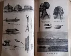 Temnou pevninou - druhá výzpytná cesta střední Afrikou od východu na západ již konal Henry M. Stanley