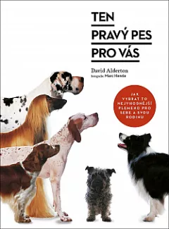 Ten pravý pes pro vás