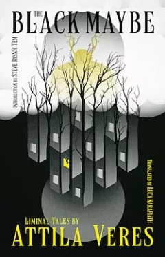The Black Maybe: Liminal Tales
