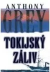 Tokijský záliv