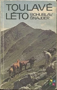 Toulavé léto