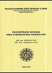 Trestněprávní ochrana před kybernetickou kriminalitou