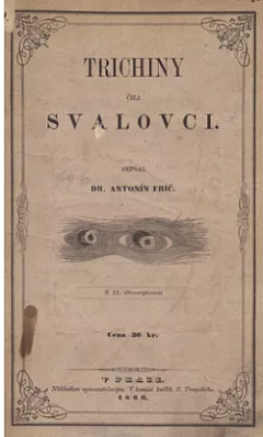 Trichini čili svalovci