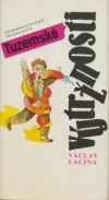 Tuzemské výtržnosti
