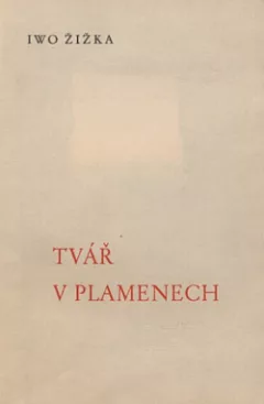Tvář v plamenech