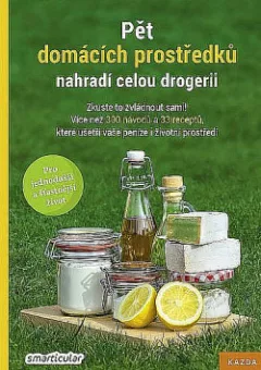 Pět domácích prostředků nahradí celou drogerii