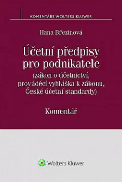 Účetní předpisy pro podnikatele