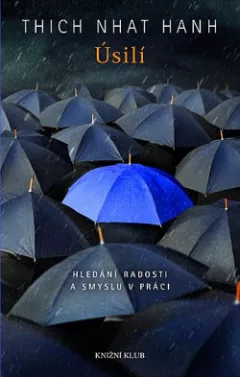 Úsilí: Hledání radosti a smyslu v práci