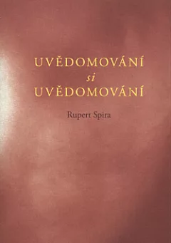 Uvědomování si uvědomování