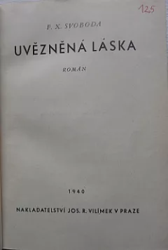 Uvězněná láska
