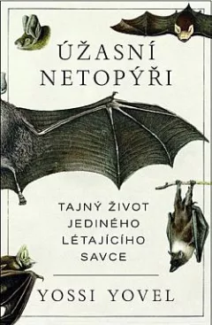 Úžasní netopýři: Tajný život jediného létajícího savce