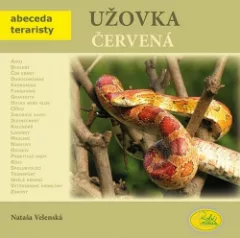 Užovka červená