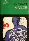 V mlze