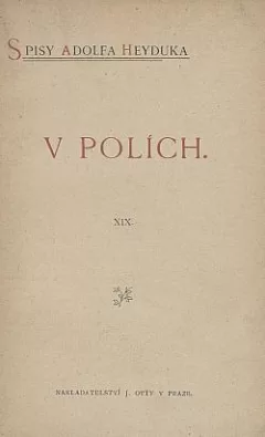 V polích