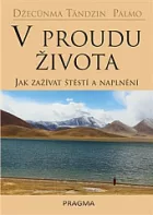V proudu života: Jak zažívat štěstí a naplnění
