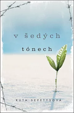 V šedých tónech