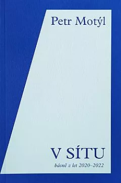 V sítu