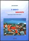 V srdci galského kohouta