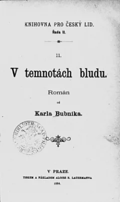 V temnotách bludu