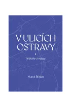 V ulicích Ostravy – Příběhy z misie