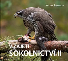 V zajetí sokolnictví II