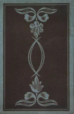 V závojích touhy