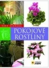 Pokojové rostliny
