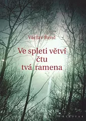 Ve spleti větví čtu tvá ramena