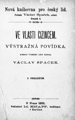 Ve vlasti cizincem