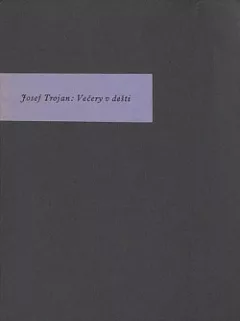 Večery v dešti