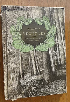 Věčný les