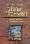 Vědomí přítomnosti: meditace bdělosti v každodenním životě