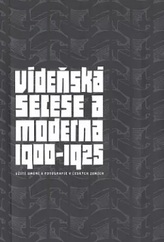Vídeňská secese a moderna 1900–1925
