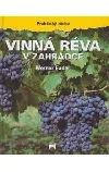 Vinná réva v zahrádce